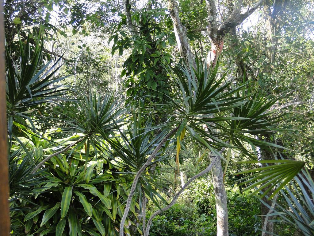 Pousada Lembrança Florianópolis Exterior foto